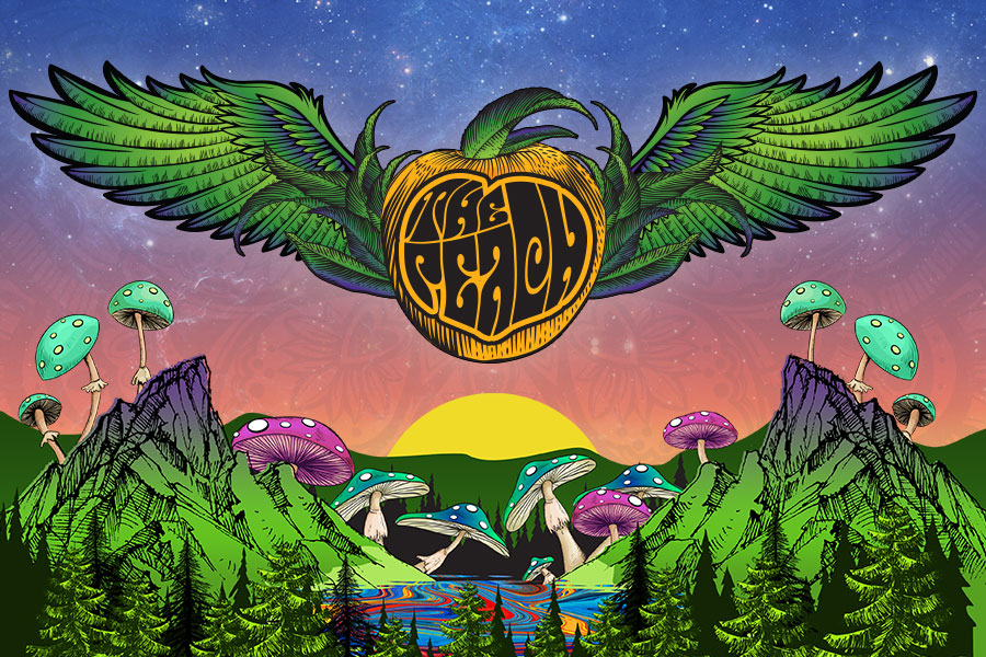 2017 Artist Additions!
